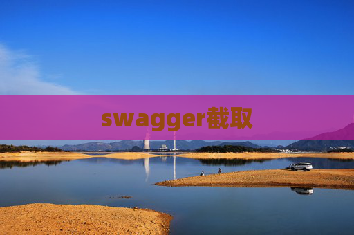 swagger截取